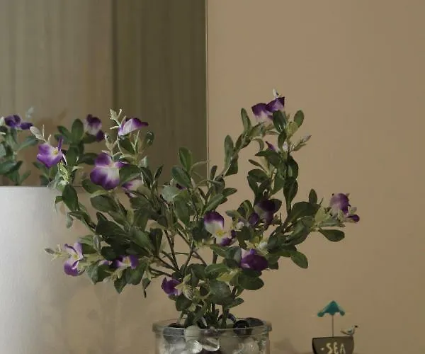 Il Piccolo Loft Della Vela *