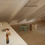 公寓 Il Piccolo Loft Della Vela 萨沃纳
